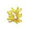 Horncoralje1be1 — Minecraft All Blocks Tierlist (1.21) option 405