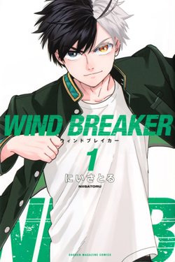 Wind Breaker — Manga Art Tierlist (Objectively Right Edition) option 78