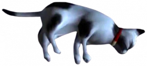 Zzzzz 17793322196207 — All Xeno Characters (2026) option 107