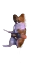Zzzzz 17793322196208 — All Xeno Characters (2026) option 90