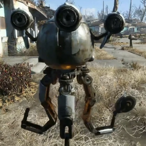 Img1172 — Every Fallout Companion option 1