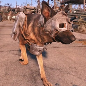 Img1173 — Every Fallout Companion option 2
