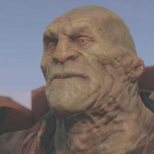 Img1182 — Every Fallout Companion option 10