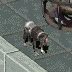 Img1331 — Every Fallout Companion option 29
