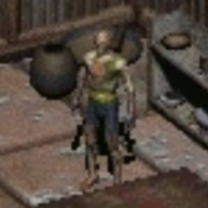 Img1333 — Every Fallout Companion option 30
