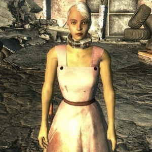 Img1344 — Every Fallout Companion option 37
