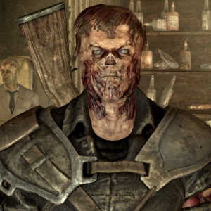Img1345 — Every Fallout Companion option 38