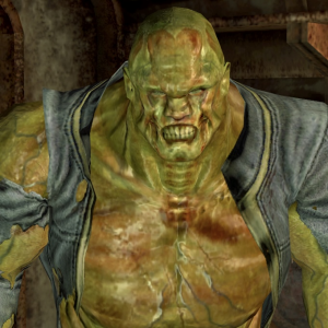 Img1348 — Every Fallout Companion option 40