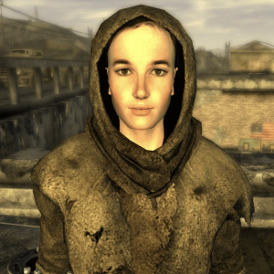 Img1385 — Every Fallout Companion option 48