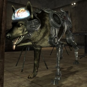 Img1387 — Every Fallout Companion option 50