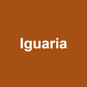 Julgando o Álbum Escândalo Íntimo da Luísa Sonza — option 9