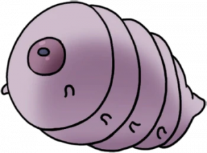 Eppng — The Ultimate Hollow Knight Enemies tier list option 124