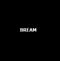 Breamjpg — AMV's Editors option 49
