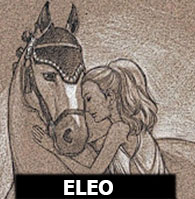 Eleojpg — AMV's Editors option 95