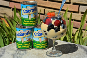 Custard — British foods option 21