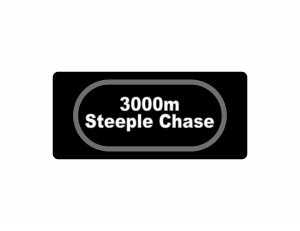 Steeple Chasepng — Track and Field Events option 19