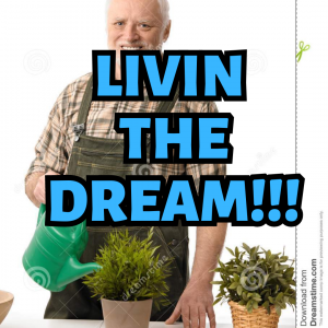Now Lets Do A Silly One 17png — white folk lingo option 8