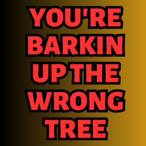 Now Lets Do A Silly One 18png — white folk lingo option 9