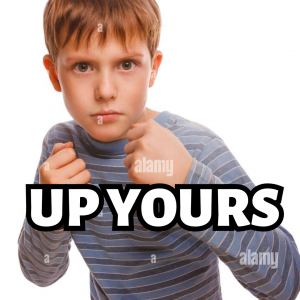 Now Lets Do A Silly One 21png — white folk lingo option 13