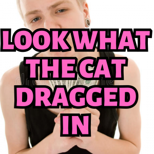Now Lets Do A Silly One 24png — white folk lingo option 16