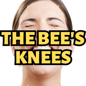 Now Lets Do A Silly One 7png — white folk lingo option 27
