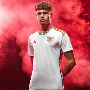 Camisagales2jpg — Camisas da Copa do Mundo 2022 option 32