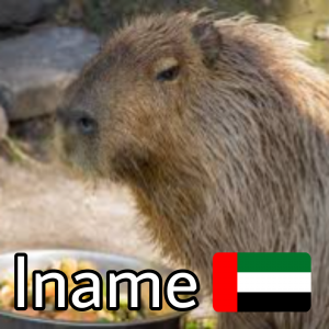 Aeiname — ZA Summer 2023 Extended option 1