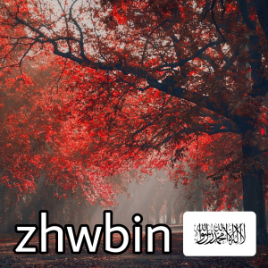 Afzhwbin — ZA Summer 2023 Extended option 3