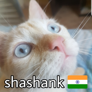 Zzzzz 1685369224inshashank — ZA Summer 2023 Extended option 133