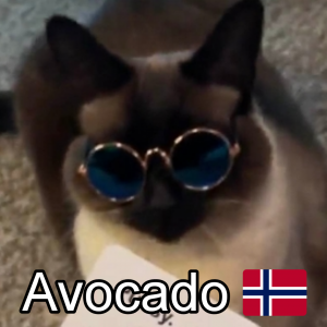 Zzzzz 1685369740noavocado — ZA Summer 2023 Extended option 195