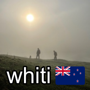 Zzzzz 1685369754nzwhiti — ZA Summer 2023 Extended option 199