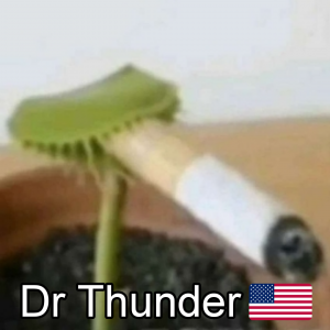 Zzzzz 1685370648usdrthunder — ZA Summer 2023 Extended option 263