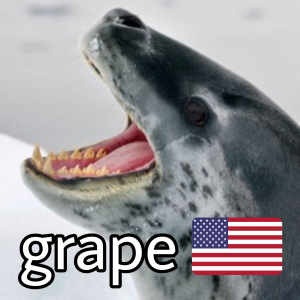 Zzzzz 1685370648usgrape — ZA Summer 2023 Extended option 264