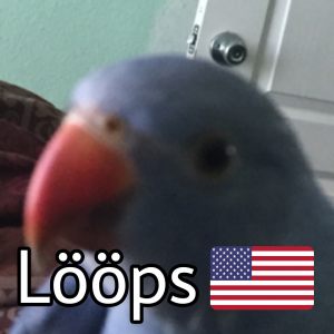 Zzzzz 1685370648usloops — ZA Summer 2023 Extended option 266
