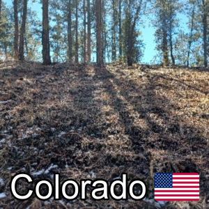 Zzzzz 1685370649uscolorado — ZA Summer 2023 Extended option 273