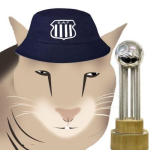 Gatojpg — Twitter CAT 2023 option 31