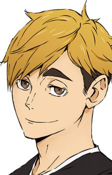 Top 100 manga characters (Myanimelist) (482 characters) — option 176