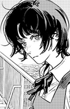 Top 100 manga characters (Myanimelist) (482 characters) — option 205