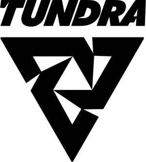 900px Tundraesports2020fulllightmodepng — Dota 2 PGL Arlington Major 2022 option 14