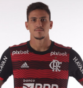 Flamengopedropng — ATACANTES BRASILEIRAO option 31