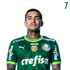 Palmeirasdudupng — ATACANTES BRASILEIRAO option 44