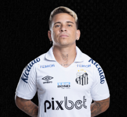 Santossoteldopng — ATACANTES BRASILEIRAO option 53