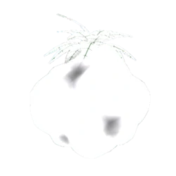Mokufruitpng — King Legacy (Update 4) option 31