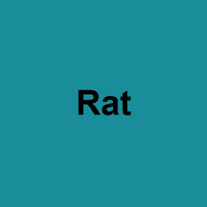 Image 5png — Fursona species tierlist option 8