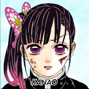 Smartselect20221101120525capcutjpg — Demon Slayer Inverse option 45