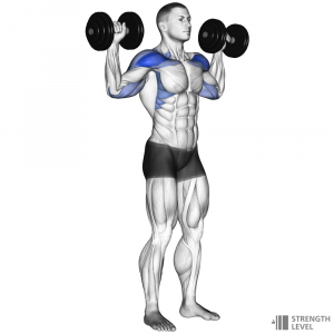 Dumbbell Shoulder Press — Gym exercises option 27