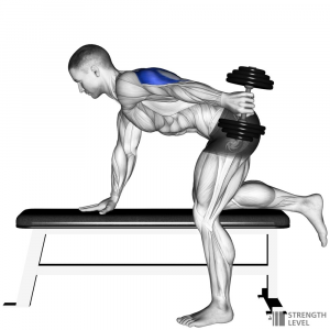 Dumbbell Tricep Kickback — Gym exercises option 29