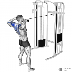 Face Pull — Gym exercises option 30