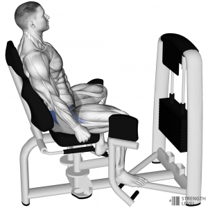 Hip Abduction — Gym exercises option 33