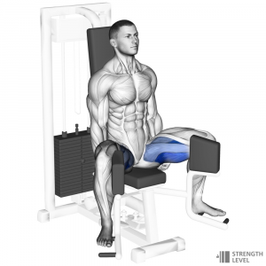 Hip Adduction — Gym exercises option 34
